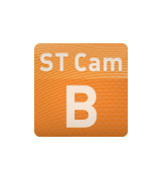 ST Cam B